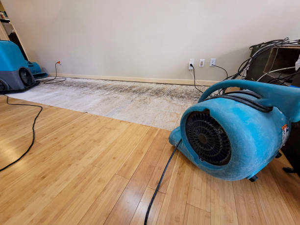 Professional Flood Damage Cleanup technician working in South Wellfleet, MA